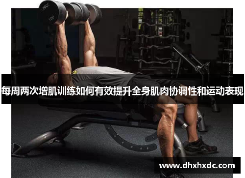 每周两次增肌训练如何有效提升全身肌肉协调性和运动表现