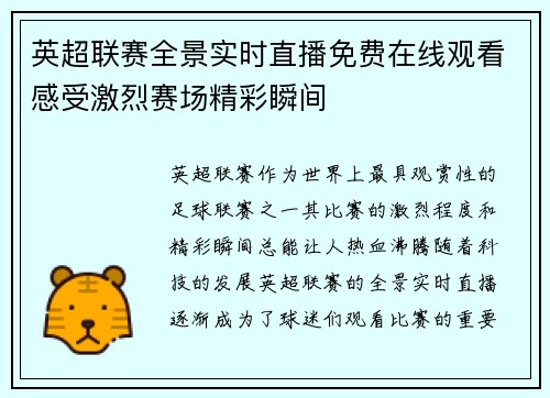 英超联赛全景实时直播免费在线观看感受激烈赛场精彩瞬间